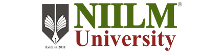 NIILM University Academic Partner Logo